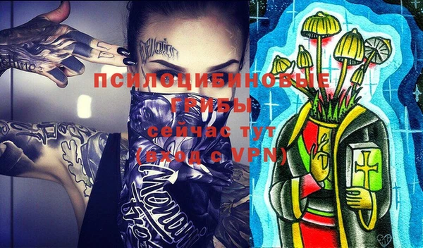 ешки Алзамай