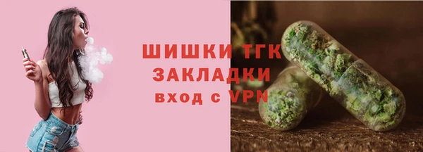ешки Алзамай