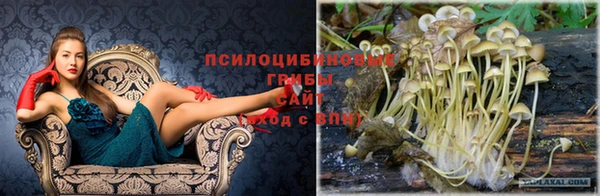 эйфоретик Алексин