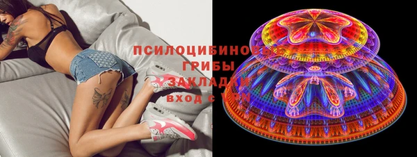 apvp Алексеевка
