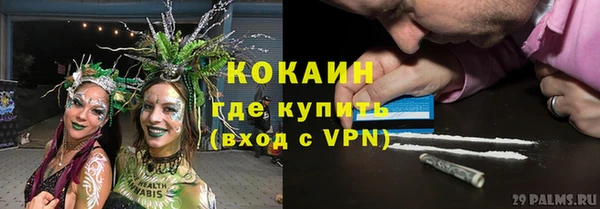 ешки Алзамай