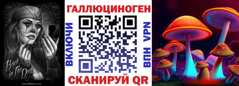как найти закладки  ссылка на мегу маркетплейс  Галлюциногенные грибы Magic Shrooms  Каргат 